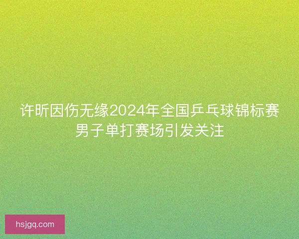 许昕因伤无缘2024年全国乒乓球锦标赛男子单打赛场引发关注